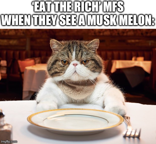 Musk melon is a nickname for cantaloupe | ‘EAT THE RICH’ MFS WHEN THEY SEE A MUSK MELON: | image tagged in hungry cat,cantaloupe,musk melon,elon musk,eat the rich,shitpost | made w/ Imgflip meme maker