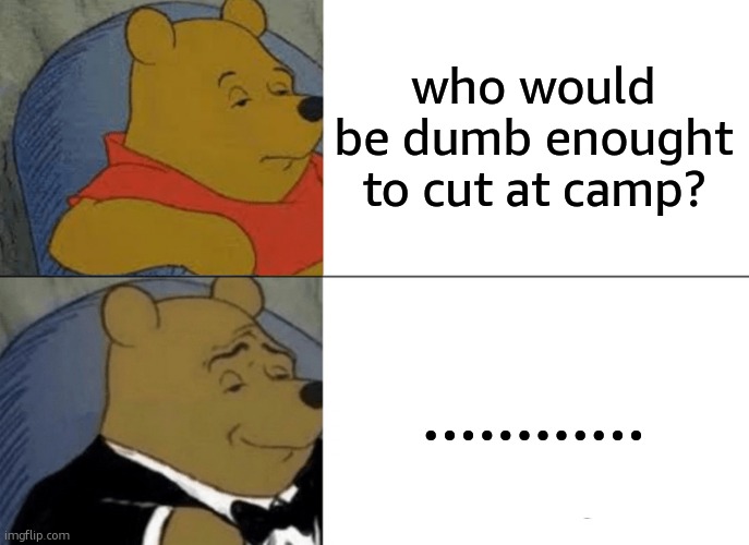 pov me rn...... | who would be dumb enought to cut at camp? ............ | image tagged in memes,tuxedo winnie the pooh | made w/ Imgflip meme maker