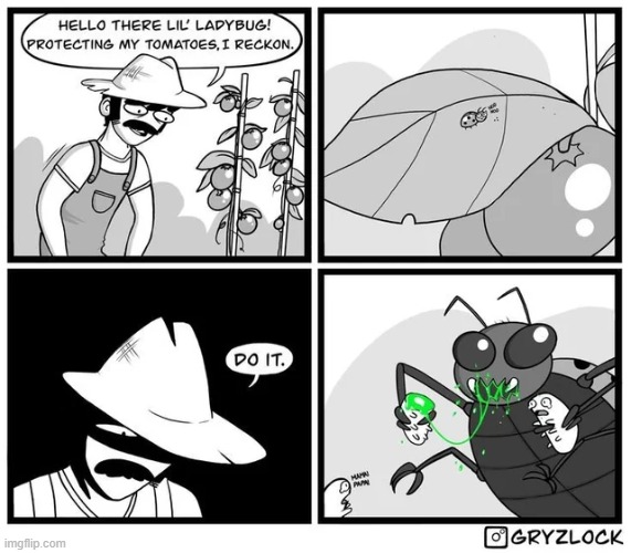 image tagged in ladybug,tomatoes,protector,aphids,family,oh no | made w/ Imgflip meme maker