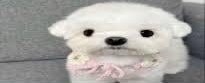 This is my new favorite reaction image | made w/ Imgflip meme maker