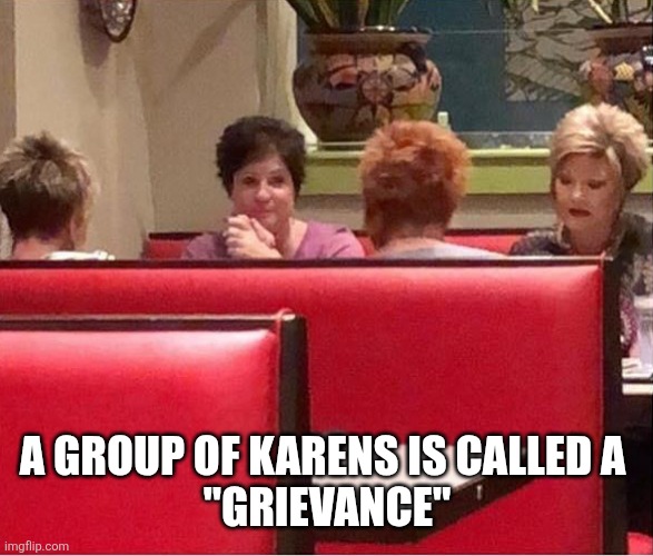 A GROUP OF KARENS IS CALLED A 
"GRIEVANCE" | image tagged in funny memes | made w/ Imgflip meme maker