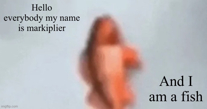 fish | Hello everybody my name is markiplier; And I am a fish | image tagged in fish | made w/ Imgflip meme maker