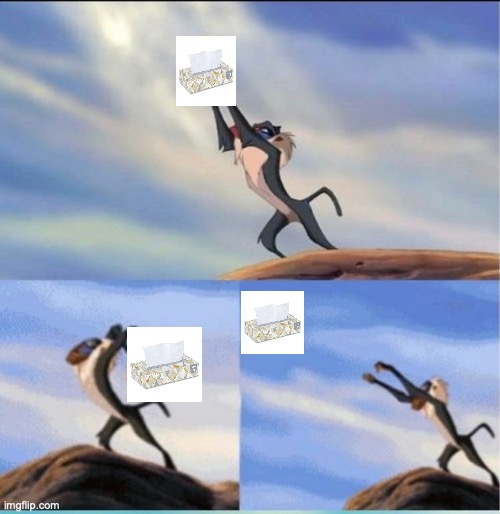lion being yeeted | image tagged in lion being yeeted | made w/ Imgflip meme maker