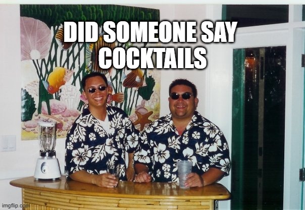 fun | DID SOMEONE SAY 
COCKTAILS | image tagged in cocktails,funny memes,happy hour | made w/ Imgflip meme maker