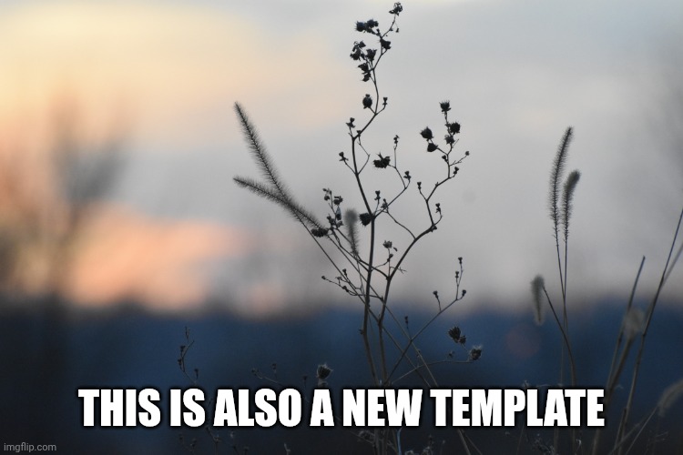 Flower | THIS IS ALSO A NEW TEMPLATE | made w/ Imgflip meme maker