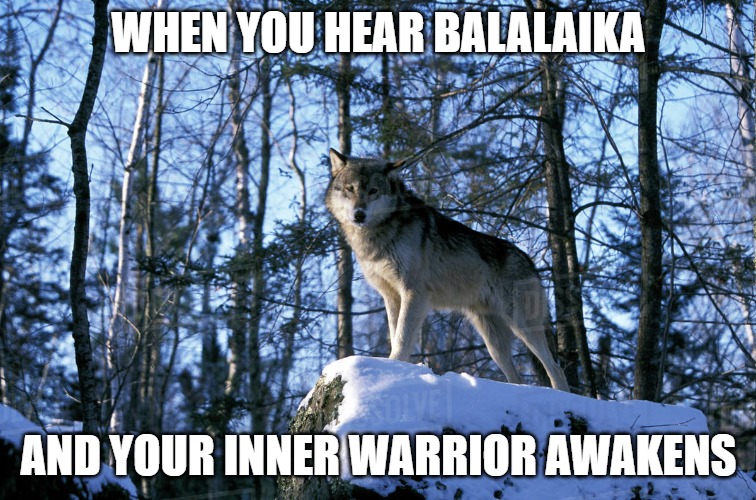 Slavic Wolf | WHEN YOU HEAR BALALAIKA; AND YOUR INNER WARRIOR AWAKENS | image tagged in slavic wolf,slavic  warrior,slavic lives matter | made w/ Imgflip meme maker