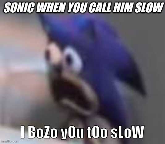 Sonic sad gasp | SONIC WHEN YOU CALL HIM SLOW; l BoZo yOu tOo sLoW | image tagged in sonic sad gasp | made w/ Imgflip meme maker