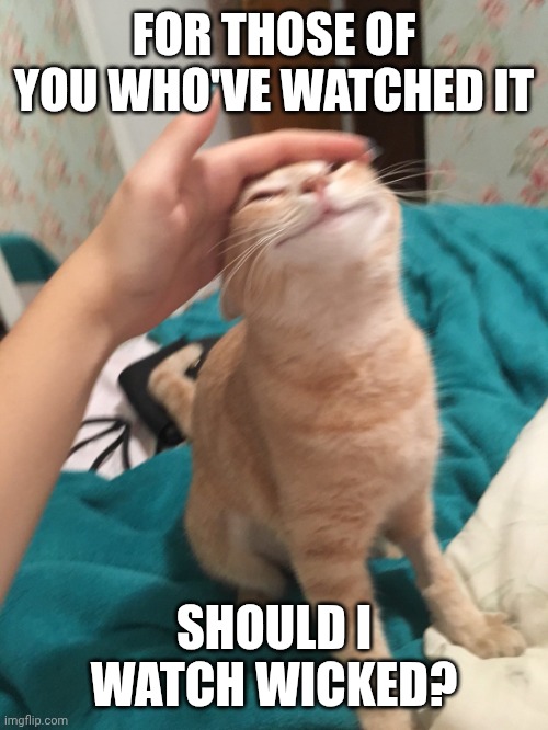 Like I'm tempted but idk | FOR THOSE OF YOU WHO'VE WATCHED IT; SHOULD I WATCH WICKED? | image tagged in cat pat | made w/ Imgflip meme maker