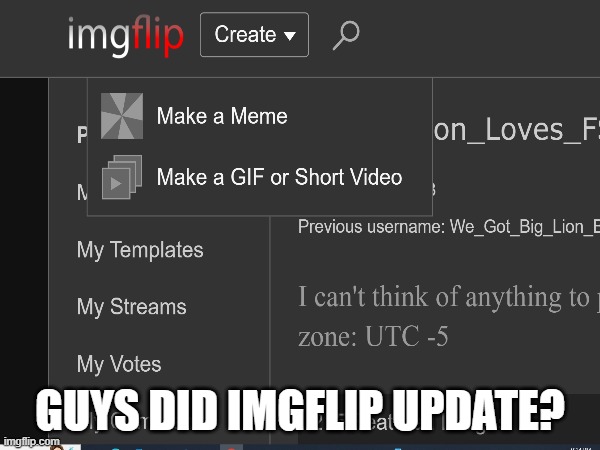 GUYS DID IMGFLIP UPDATE? | image tagged in idk what to put here | made w/ Imgflip meme maker