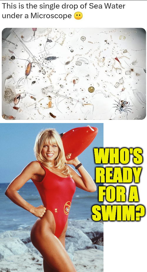 Not shown here: whale poop, shark poop, various other poop... | WHO'S READY FOR A
SWIM? | image tagged in memes,baywatch,life | made w/ Imgflip meme maker