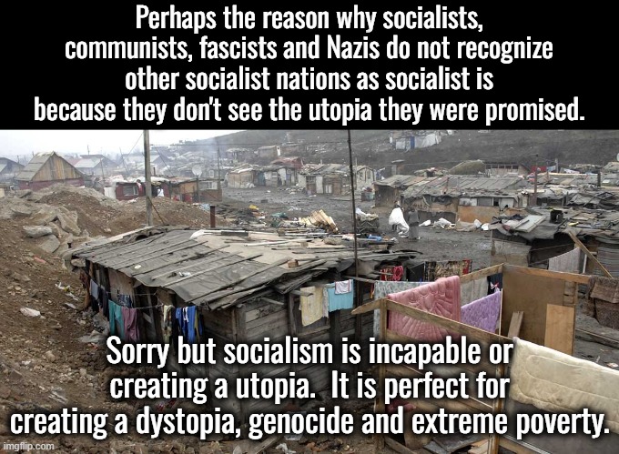 What did you expect when you take all political power away from the individual?  Did you think it was going to be better? | Perhaps the reason why socialists, communists, fascists and Nazis do not recognize other socialist nations as socialist is because they don't see the utopia they were promised. Sorry but socialism is incapable or creating a utopia.  It is perfect for creating a dystopia, genocide and extreme poverty. | image tagged in socialism,communism,fascism,nazism,dystopia | made w/ Imgflip meme maker