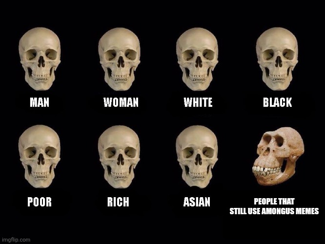 empty skulls of truth | PEOPLE THAT STILL USE AMONGUS MEMES | image tagged in empty skulls of truth | made w/ Imgflip meme maker