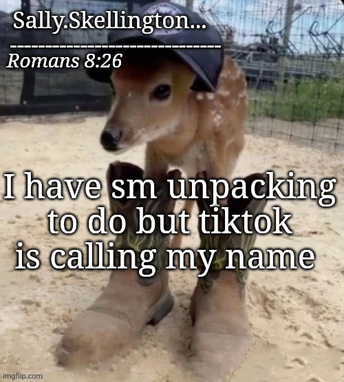 Sally's temp | I have sm unpacking to do but tiktok is calling my name | image tagged in sally's temp | made w/ Imgflip meme maker