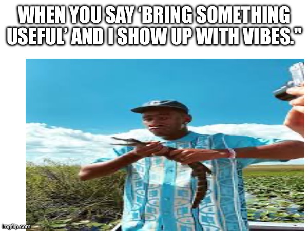 WHEN YOU SAY ‘BRING SOMETHING USEFUL’ AND I SHOW UP WITH VIBES." | image tagged in tyler the creator | made w/ Imgflip meme maker
