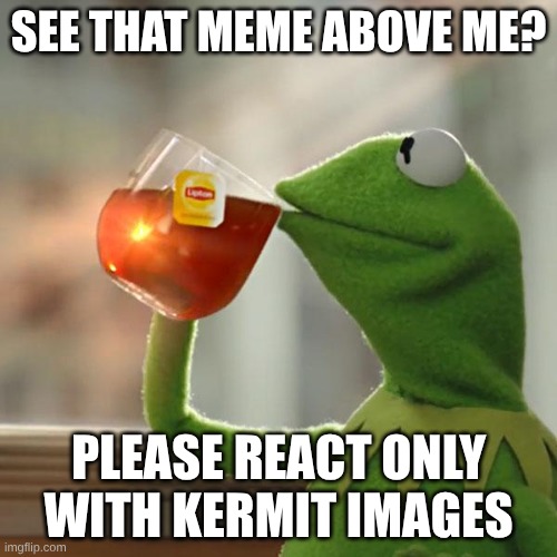 kermit | SEE THAT MEME ABOVE ME? PLEASE REACT ONLY WITH KERMIT IMAGES | image tagged in memes,but that's none of my business,kermit the frog | made w/ Imgflip meme maker