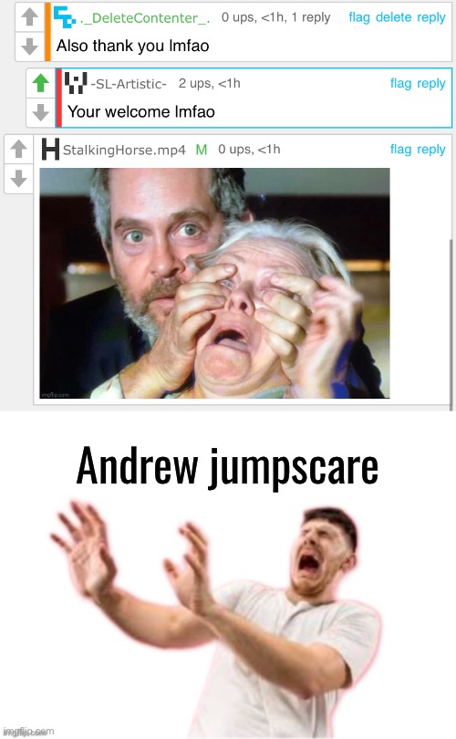 Hoky fuck that was not what I was expecting to see | Andrew jumpscare | image tagged in he left it on impact | made w/ Imgflip meme maker