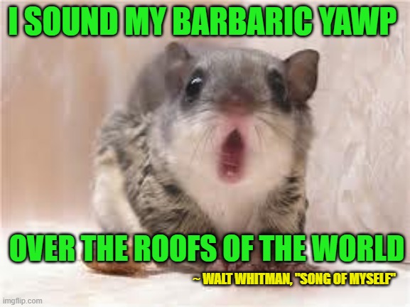 Going Primal | I SOUND MY BARBARIC YAWP; OVER THE ROOFS OF THE WORLD; ~ WALT WHITMAN, "SONG OF MYSELF" | image tagged in barbaric yawp,walt whitman,individuality,unfiltered,dead poets society | made w/ Imgflip meme maker
