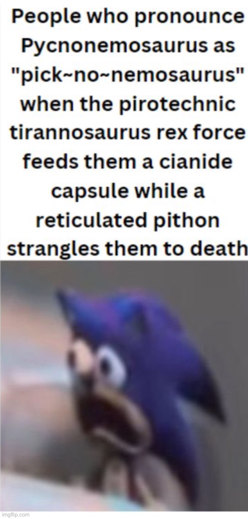 Type shit | image tagged in shit | made w/ Imgflip meme maker