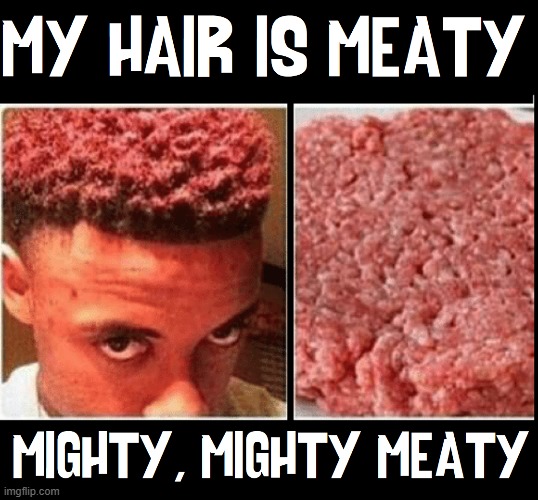 Hair that is not for Vegans! | image tagged in vince vance,hair,ground beef,memes,mighty,meat | made w/ Imgflip meme maker