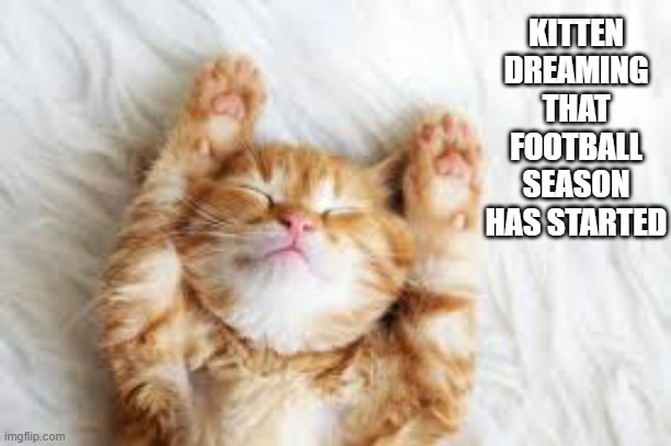 My kitten is dreaming that the football season has begun.  - funny - | KITTEN DREAMING THAT FOOTBALL SEASON HAS STARTED | image tagged in sports,cats,kittens,football,nfl,dreaming | made w/ Imgflip meme maker
