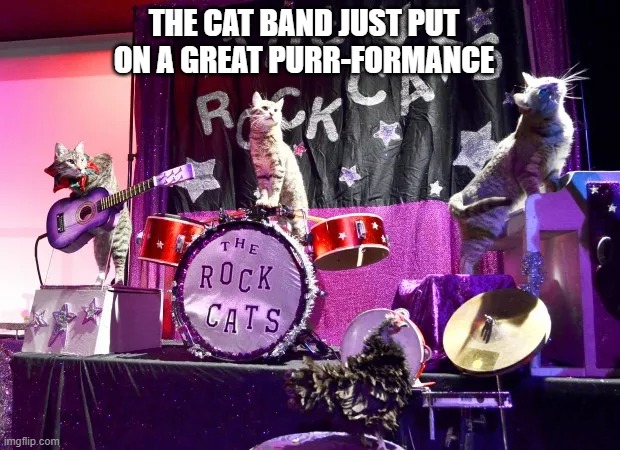 The cat band put on a great purr-formance. | THE CAT BAND JUST PUT ON A GREAT PURR-FORMANCE | image tagged in cats,funny,kittens,humor,play on words | made w/ Imgflip meme maker