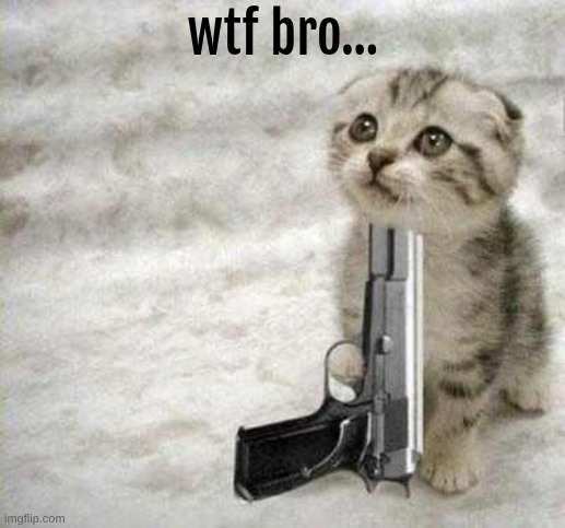 suicide | wtf bro... | image tagged in suicide | made w/ Imgflip meme maker