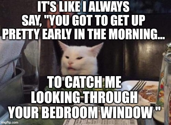 Smudge that darn cat | IT'S LIKE I ALWAYS SAY, "YOU GOT TO GET UP PRETTY EARLY IN THE MORNING... TO CATCH ME LOOKING THROUGH YOUR BEDROOM WINDOW " | image tagged in smudge that darn cat | made w/ Imgflip meme maker