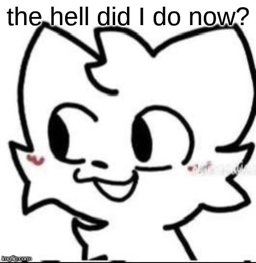 boykisser | the hell did I do now? | image tagged in boykisser | made w/ Imgflip meme maker