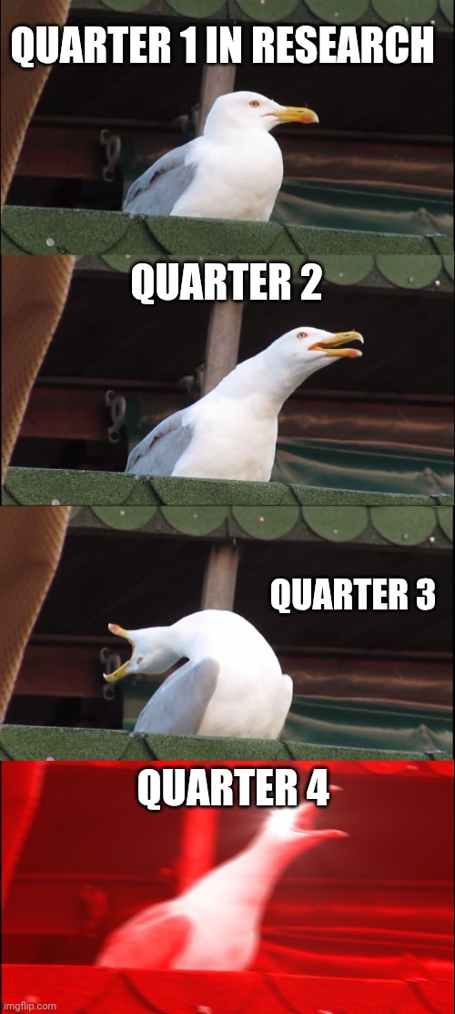 Inhaling Seagull Meme | QUARTER 1 IN RESEARCH QUARTER 2 QUARTER 3 QUARTER 4 | image tagged in memes,inhaling seagull | made w/ Imgflip meme maker
