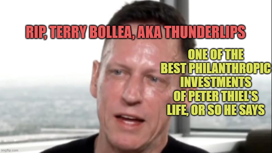 Peter Thiel wet | RIP, TERRY BOLLEA, AKA THUNDERLIPS ONE OF THE BEST PHILANTHROPIC INVESTMENTS
OF PETER THIEL'S LIFE, OR SO HE SAYS | image tagged in peter thiel wet | made w/ Imgflip meme maker