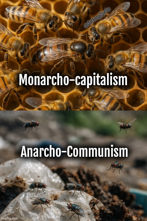 Portland vs Dubai (much safer) | @darking2jarlie; Monarcho-capitalism; Anarcho-Communism | image tagged in anarchism,communism,capitalism,politics | made w/ Imgflip meme maker