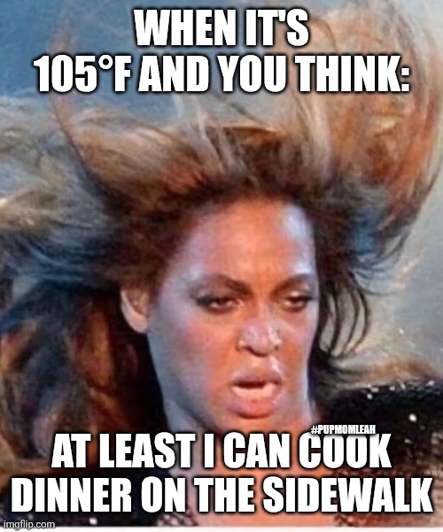 105° Cooking dinner on the sidewalk ? | WHEN IT'S 105°F AND YOU THINK:; AT LEAST I CAN COOK DINNER ON THE SIDEWALK; #PUPMOMLEAH | made w/ Imgflip meme maker