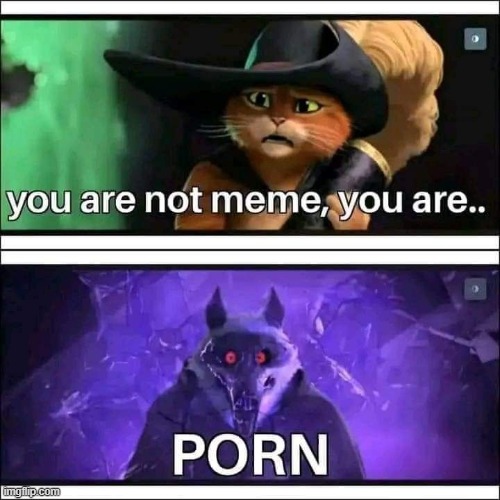 image tagged in you are not a meme | made w/ Imgflip meme maker