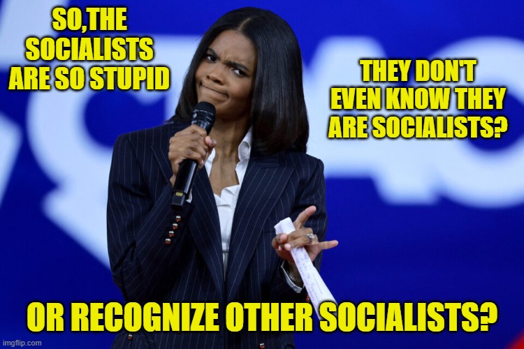 SO,THE SOCIALISTS ARE SO STUPID OR RECOGNIZE OTHER SOCIALISTS? THEY DON'T EVEN KNOW THEY ARE SOCIALISTS? | made w/ Imgflip meme maker