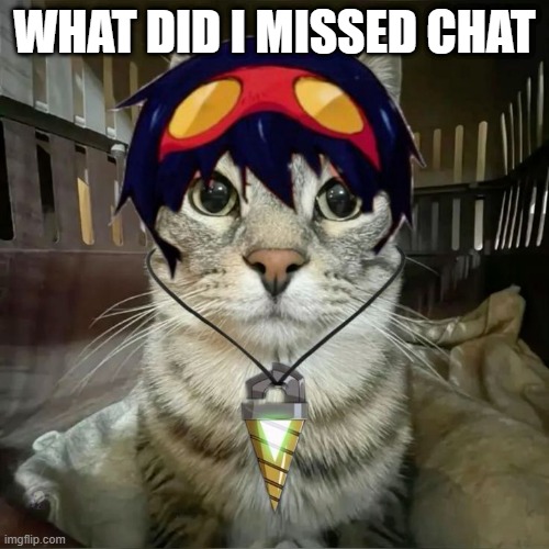 LE EPIK SNAS DE TOPIC (NOBODY SAW IT LMAO) | WHAT DID I MISSED CHAT | image tagged in simon but cat stare | made w/ Imgflip meme maker