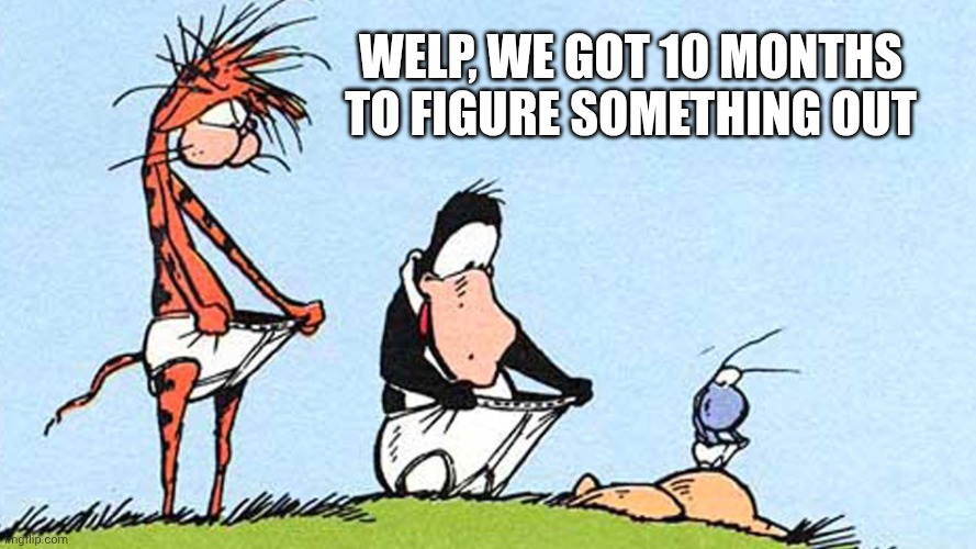 Infomercials | WELP, WE GOT 10 MONTHS TO FIGURE SOMETHING OUT | image tagged in bloom county,3 months,colbert | made w/ Imgflip meme maker
