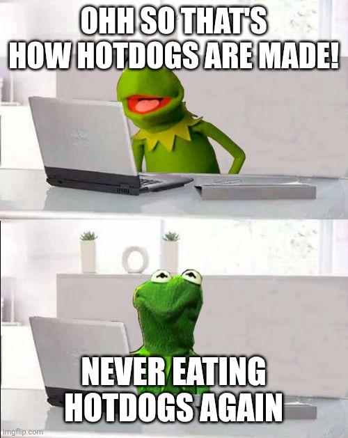 Hide The Pain Kermit | OHH SO THAT'S HOW HOTDOGS ARE MADE! NEVER EATING HOTDOGS AGAIN | image tagged in hide the pain kermit | made w/ Imgflip meme maker