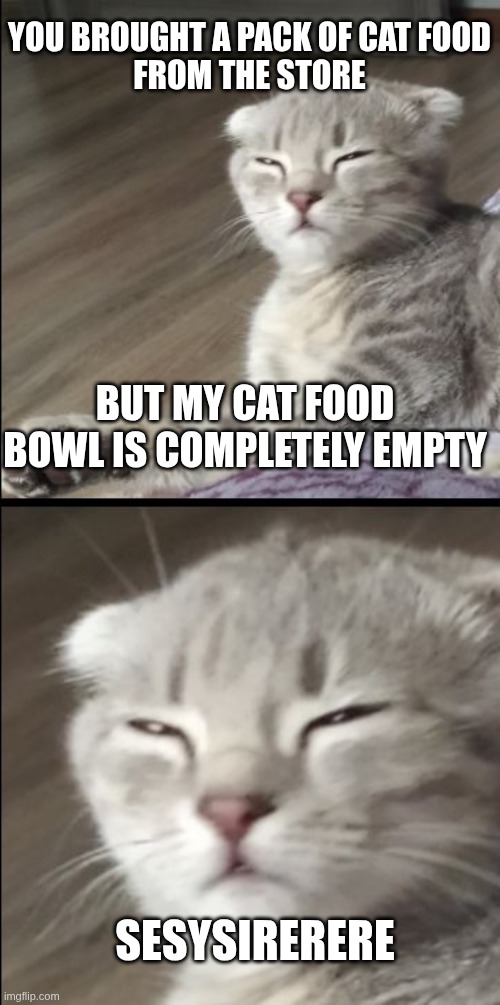 You brought a pack of cat food from the store, but my cat food bowl is completely empty | YOU BROUGHT A PACK OF CAT FOOD
FROM THE STORE; BUT MY CAT FOOD BOWL IS COMPLETELY EMPTY; SESYSIRERERE | image tagged in sesysirerere,cats,cat,cat food,kotsiubiiv | made w/ Imgflip meme maker