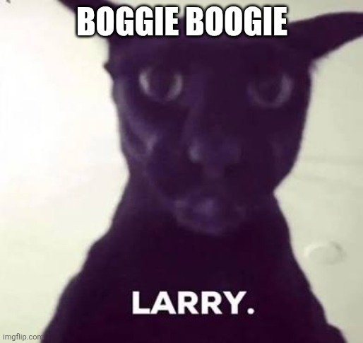 Larry. | BOGGIE BOOGIE | image tagged in larry | made w/ Imgflip meme maker