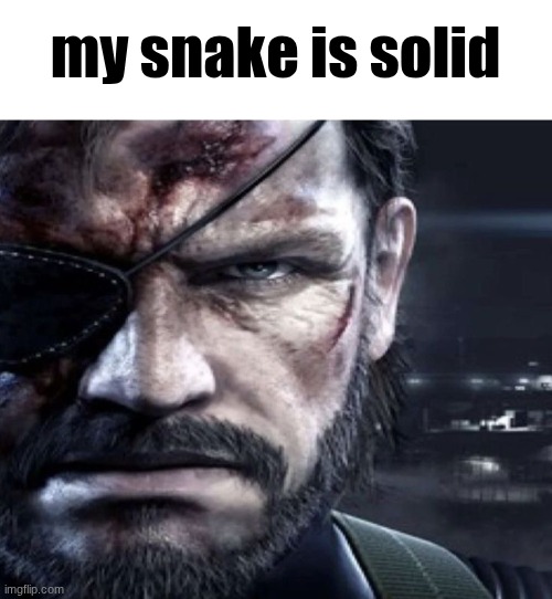 Solid Snake Staring | my snake is solid | image tagged in solid snake staring | made w/ Imgflip meme maker
