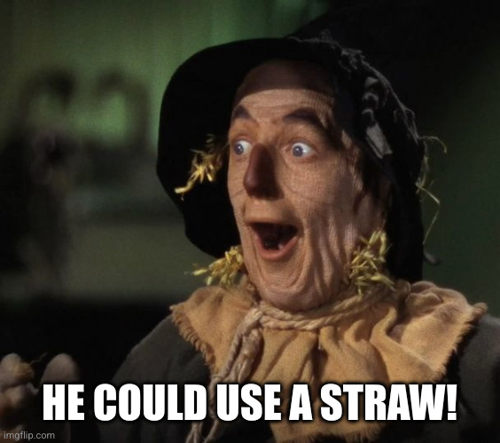 Straw Man - What a Great Idea | HE COULD USE A STRAW! | image tagged in straw man - what a great idea | made w/ Imgflip meme maker