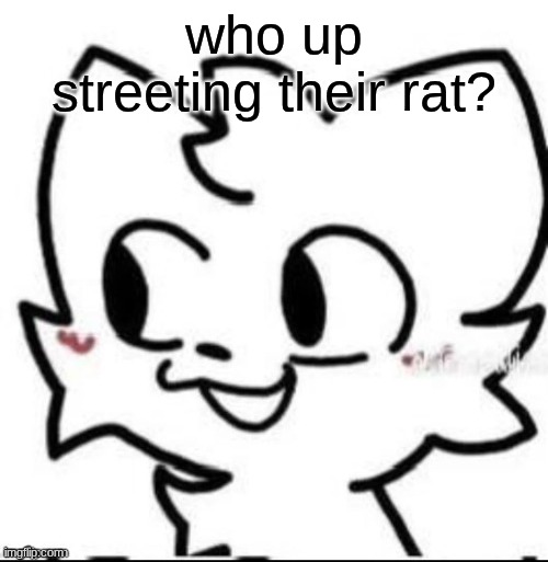 boykisser | who up streeting their rat? | image tagged in boykisser | made w/ Imgflip meme maker