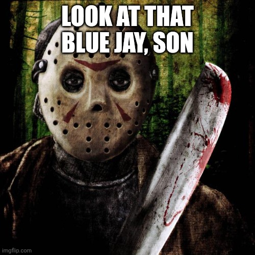 Jason Voorhees | LOOK AT THAT BLUE JAY, SON | image tagged in jason voorhees | made w/ Imgflip meme maker