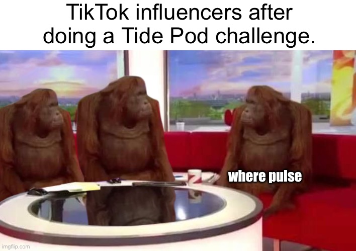 Never let this go lol | TikTok influencers after doing a Tide Pod challenge. where pulse | image tagged in where monkey | made w/ Imgflip meme maker