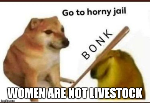 Women are not livestock! | WOMEN ARE NOT LIVESTOCK | image tagged in go to horny jail | made w/ Imgflip meme maker