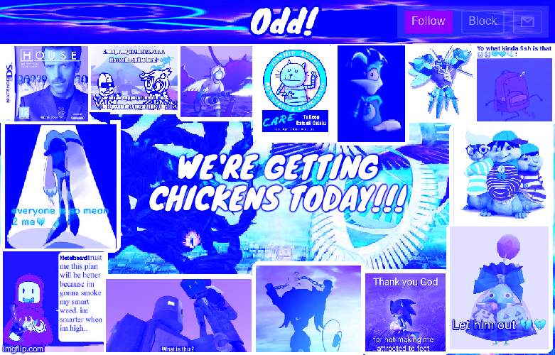 Odds horrible template | WE'RE GETTING CHICKENS TODAY!!! | image tagged in odds horrible template | made w/ Imgflip meme maker