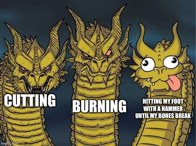 Hydra | BURNING; HITTING MY FOOT WITH A HAMMER UNTIL MY BONES BREAK; CUTTING | image tagged in hydra | made w/ Imgflip meme maker