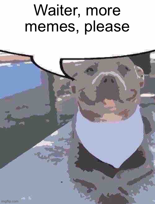 Even better, because it’s low quality, am I right? …Am I right? Hello? | Waiter, more memes, please | image tagged in waiter more x please,low quality | made w/ Imgflip meme maker