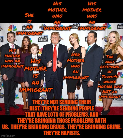 The Trump's ARE Immigrants | His mother was an immigrant; His mother was an immigrant; She is an immigrant; His mother is an immigrant; The only offspring of Trump's whose mother was NOT an immigrant; Her mother was an immigrant; His mother was an immigrant; THEY'RE NOT SENDING THEIR BEST.  THEY'RE SENDING PEOPLE THAT HAVE LOTS OF PROBLEMS, AND THEY'RE BRINGING THOSE PROBLEMS WITH US.  THEY'RE BRINGING DRUGS.  THEY'RE BRINGING CRIME.
THEY'RE RAPISTS. | image tagged in memes,maga,nazis,immigrants,trump immigration policy,conservative hypocrisy | made w/ Imgflip meme maker