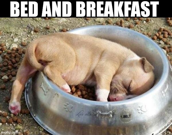 Bed And Breakfast | BED AND BREAKFAST | image tagged in chrisjoines1 | made w/ Imgflip meme maker